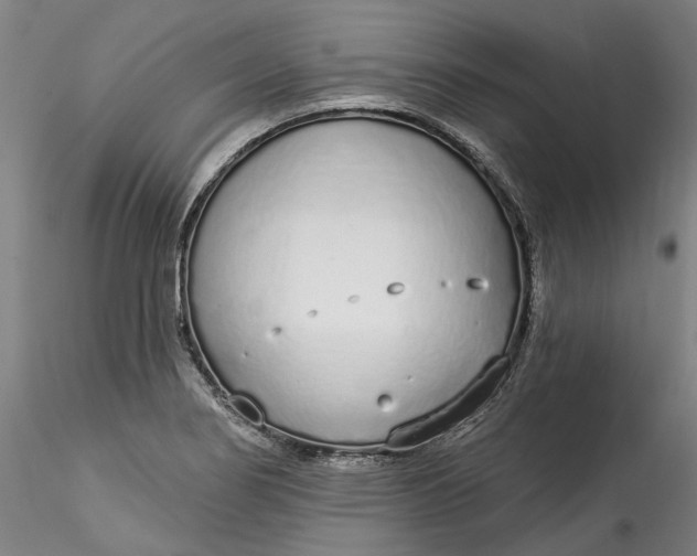 X0000115551274200911271425