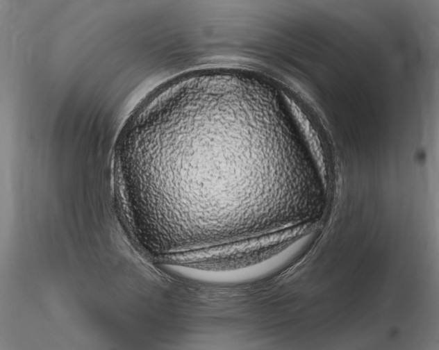 X0000115551275200911271425