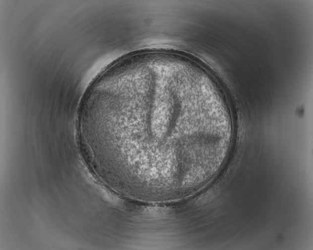 X0000115551277200911271425