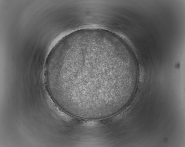 X0000115551278200911271425