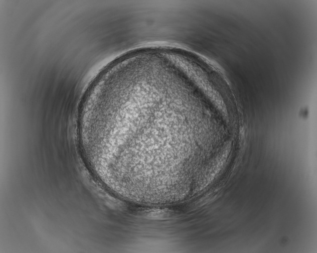 X0000115551279200911271425