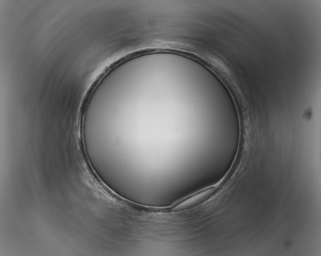 X0000115551280200911271425