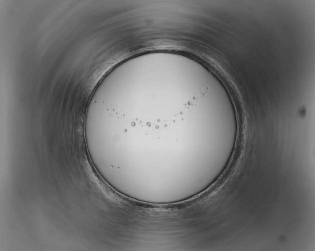 X0000115551281200911271425