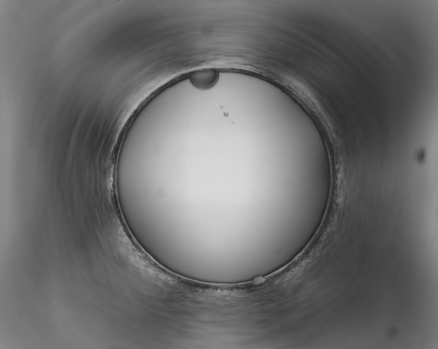 X0000115551284200911271425