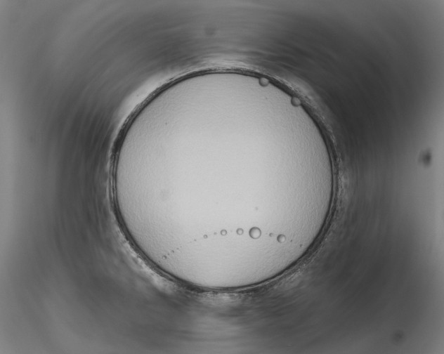 X0000115551286200911271425