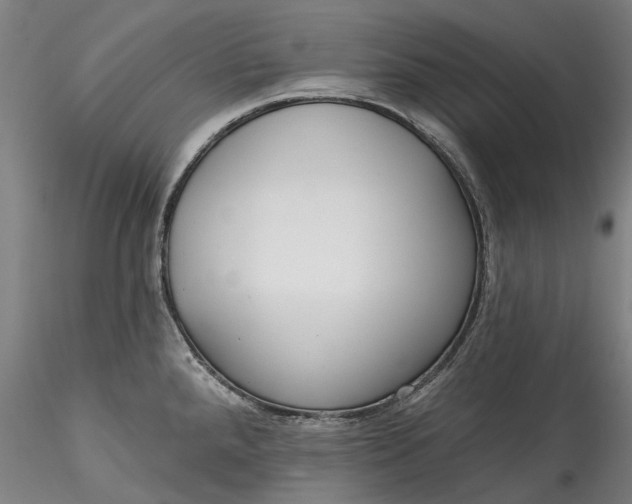 X0000115551288200911271425