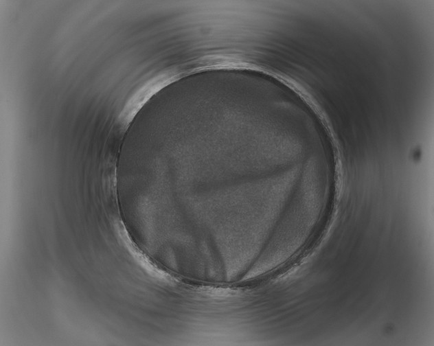 X0000115551289200911271425