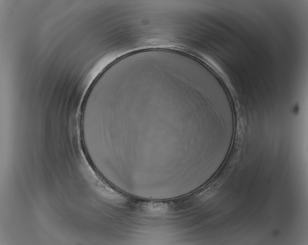 X0000115551291200911271425