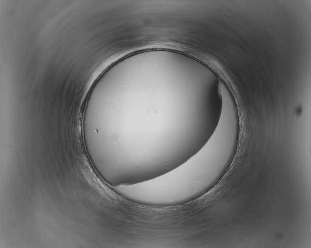 X0000115551292200911271425