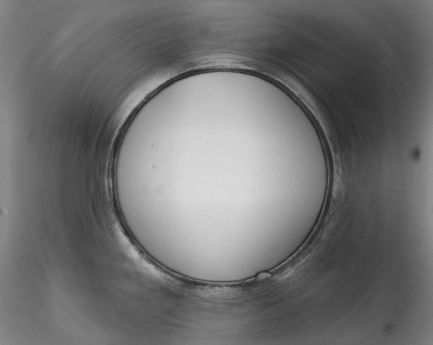 X0000115551293200911271425