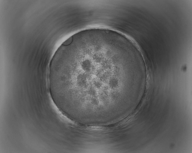 X0000115551295200911271425