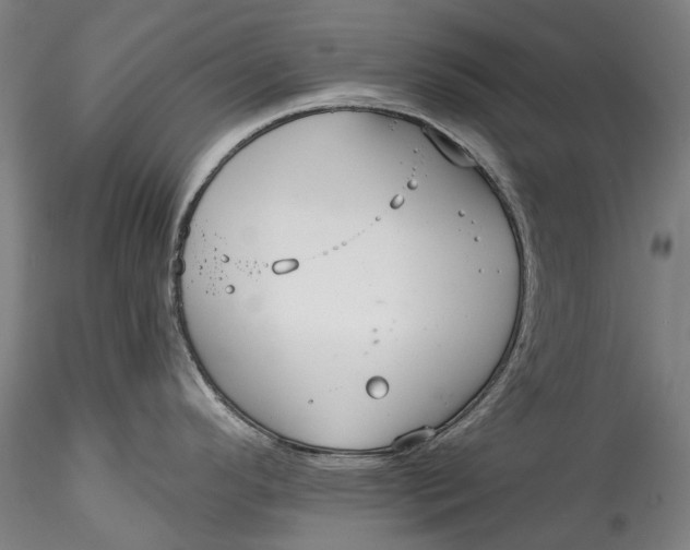 X0000115551296200911271425