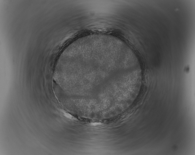 X0000115551297200911271424