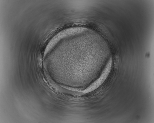 X0000115551298200911271424