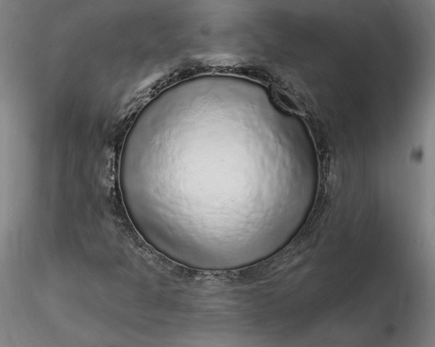 X0000115551301200911271424