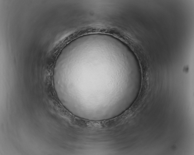 X0000115551302200911271424