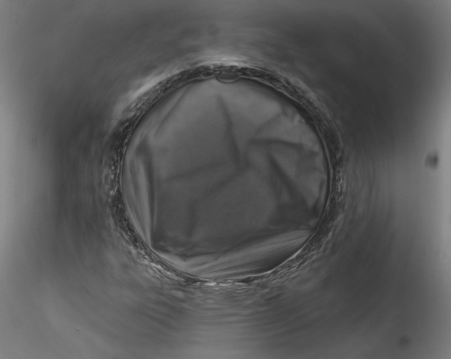 X0000115551303200911271424