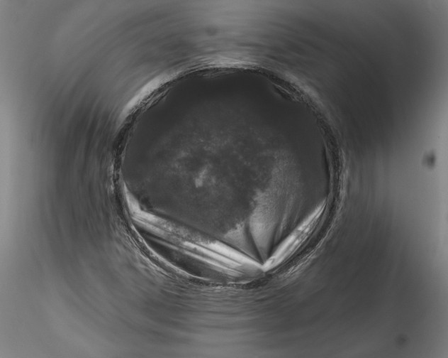 X0000115551306200911271424