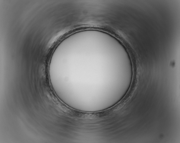 X0000115551307200911271424