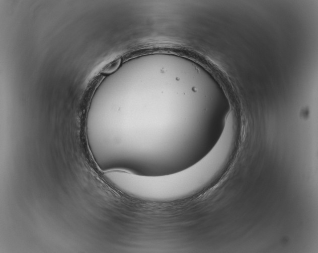 X0000115551309200911271424