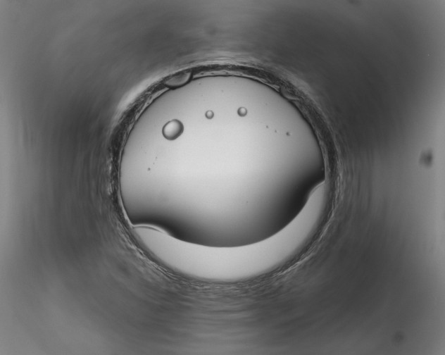 X0000115551310200911271424