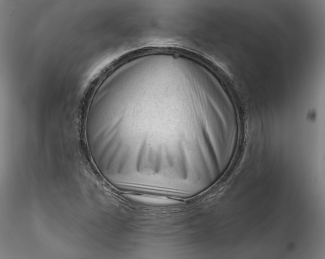 X0000115551311200911271424