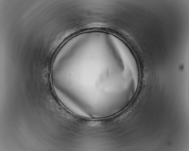 X0000115551313200911271424