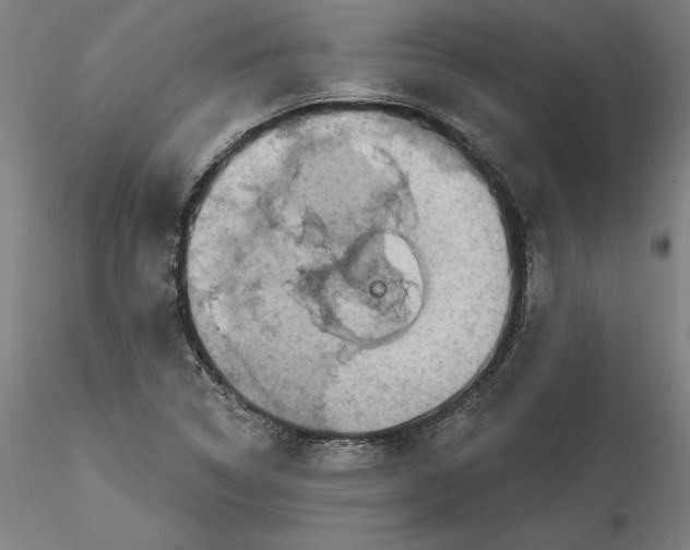 X0000115551314200911271424