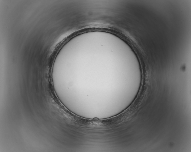 X0000115551315200911271424