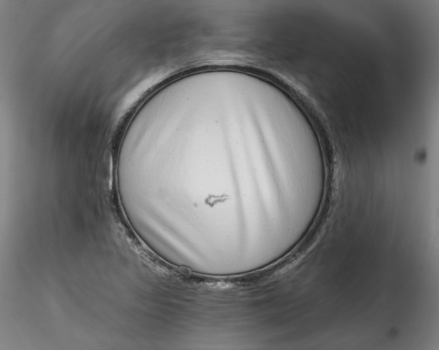 X0000115551317200911271424