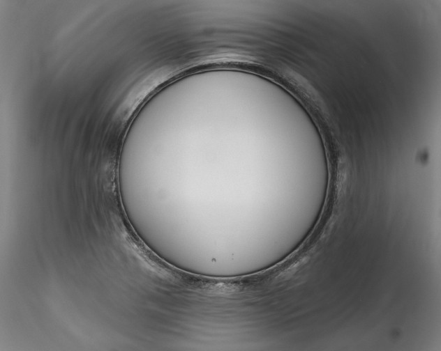 X0000115551321200911271424