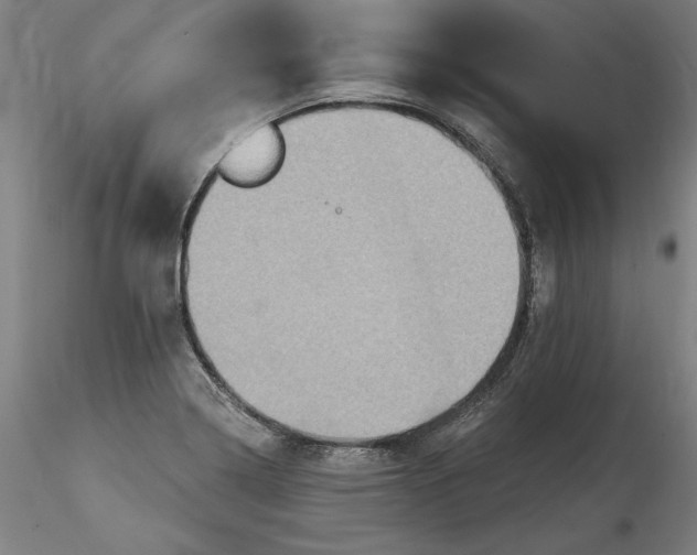 X0000115551322200911271424