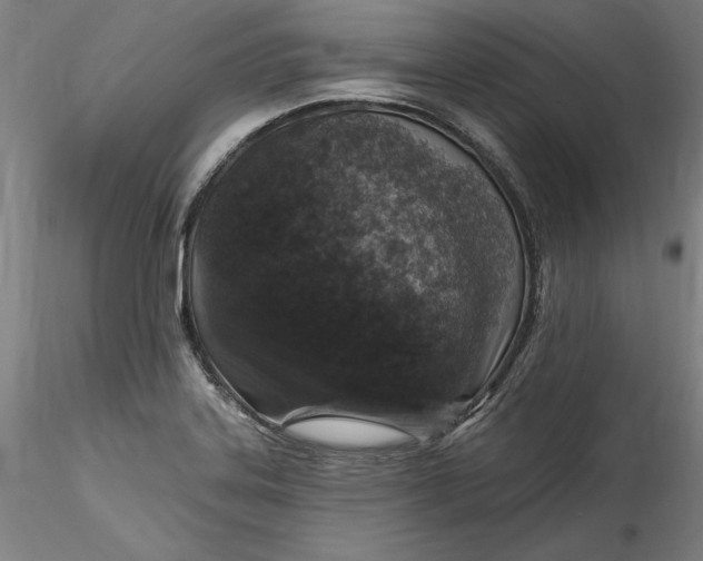 X0000115551323200911271424