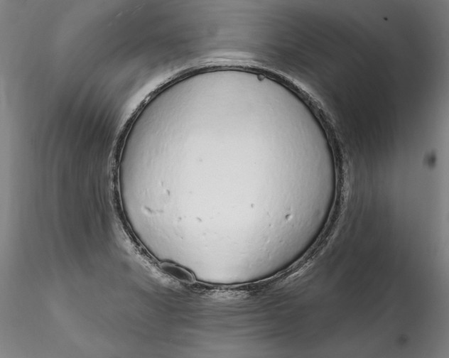 X0000115551325200911271424