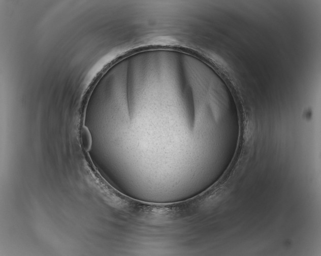 X0000115551326200911271424