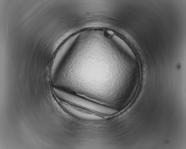 X0000115551329200911271424