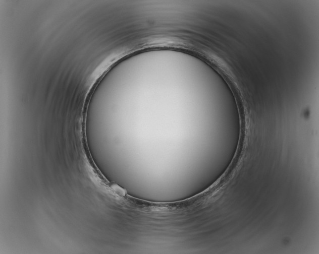 X0000115551330200911271424