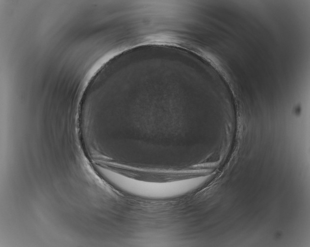 X0000115551331200911271424