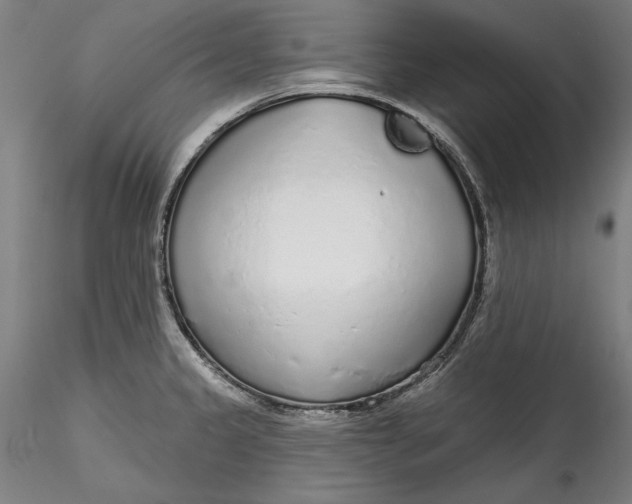 X0000115551333200911271424