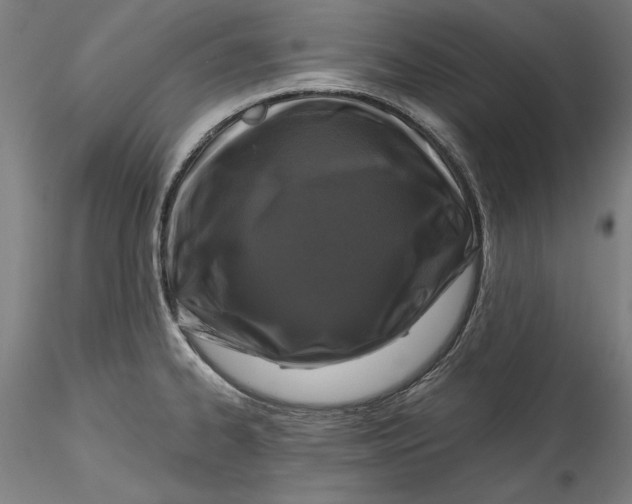 X0000115551334200911271424