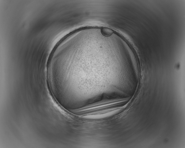 X0000115551335200911271424