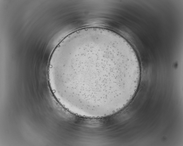 X0000115551338200911271425