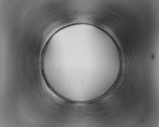 X0000115551339200911271425