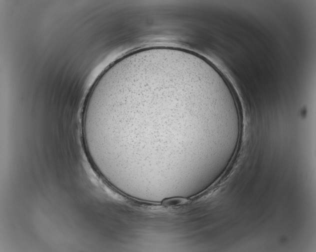 X0000115551341200911271425