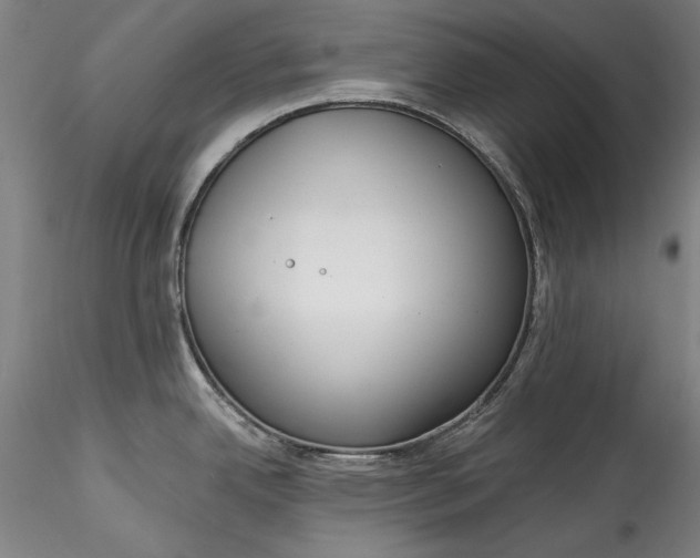 X0000115551342200911271425