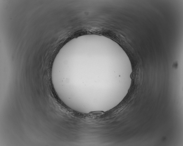 X0000115551345200911271424