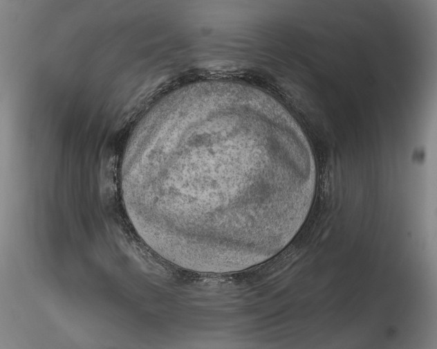 X0000115551346200911271424