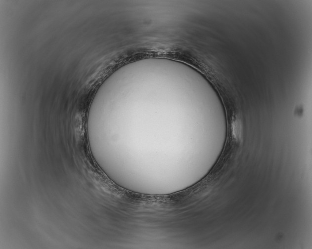 X0000115551347200911271424