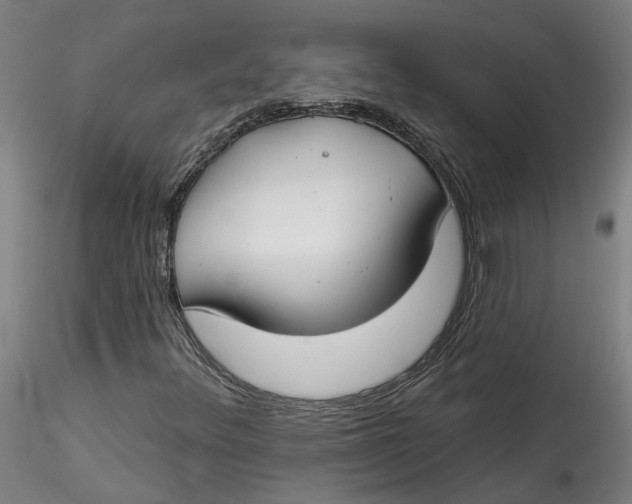 X0000115551348200911271424