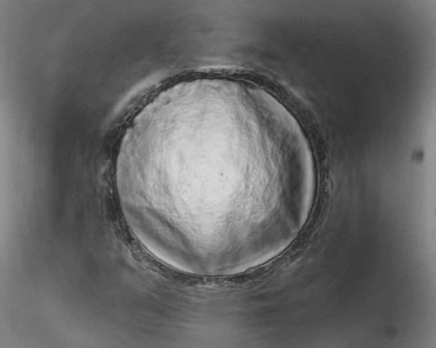 X0000115551351200911271424